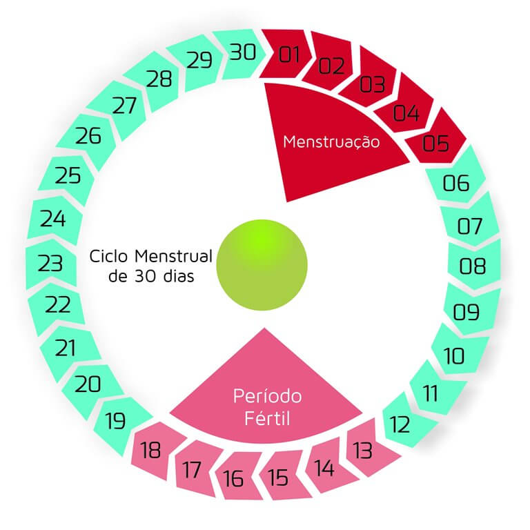 Como calcular a ovulação em ciclos irregulares - CCM Saúde